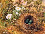 Hill, John William Bird's Nest and Dogroses Germany oil painting reproduction